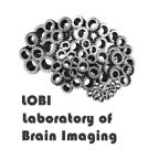 lobi brain imaging obrazowanie mózgu